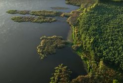 Nowy rezerwat przyrody w Polsce. Przedstawiamy "Jezioro Mścin"