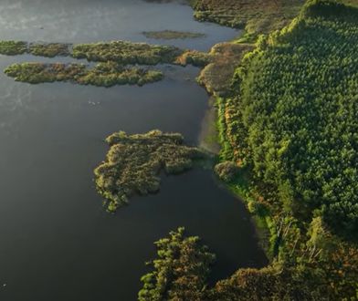 Nowy rezerwat przyrody w Polsce. Przedstawiamy "Jezioro Mścin"