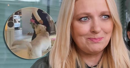Katarzyna Nosowska odsłania wnętrza domu. W takich warunkach żyje gwiazda
