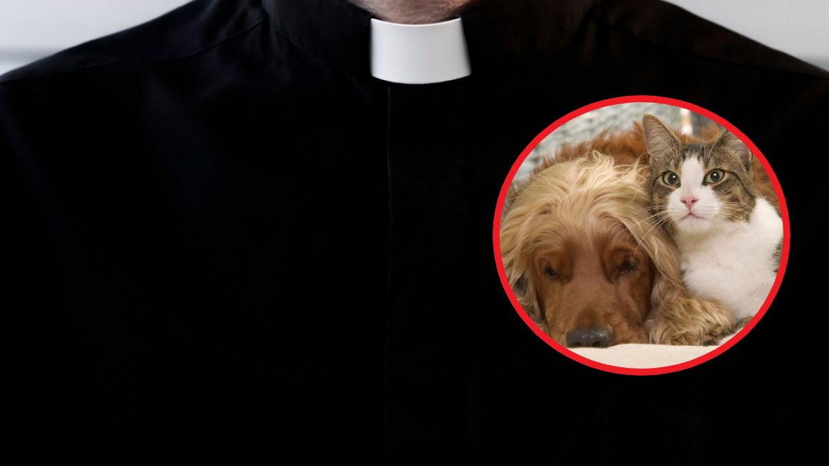 Msza dla opiekunów zwierząt w Puławach