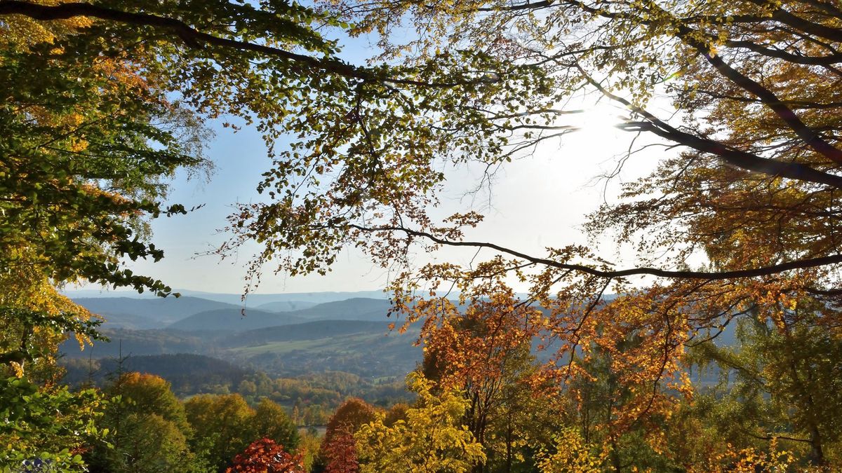 Polska złota jesień na zdjęciach czytelników Fotoblogii 1