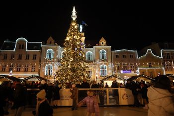 Wejherowo: Wkrótce rusza Jarmark Bożonarodzeniowy. Jakie atrakcje?