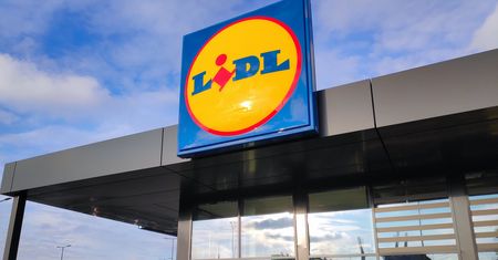 Schab za 7,99 zł/kg. Promocja w Lidlu tylko do 8 sierpnia