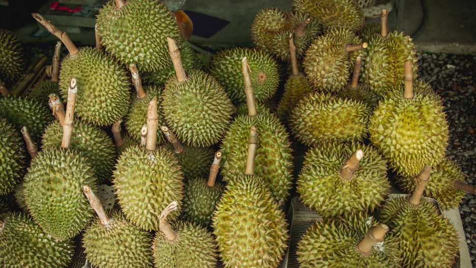 Durian