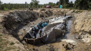Sensacja archeologiczna wraca do Czerska. XV-wieczny Skarb Urzecza będzie miał swoje muzeum