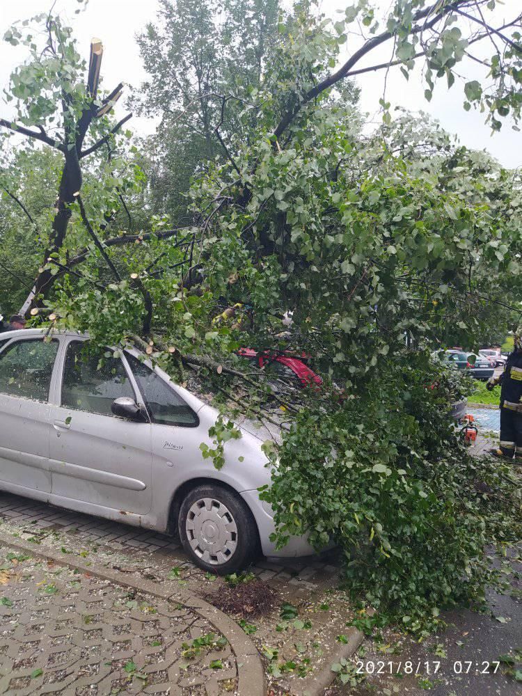 Drzewo upadło na zaparkowanego citroena na ul. Bursztynowej