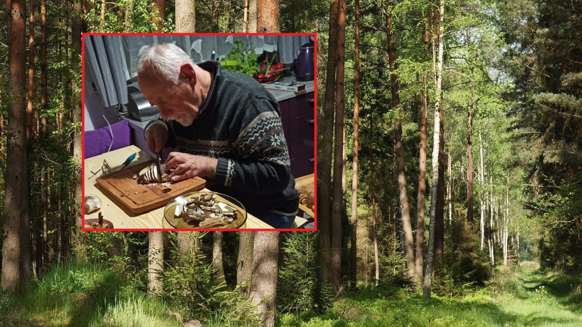 Miał kapelusz jak pizza. Gigantyczny grzyb w Małopolsce