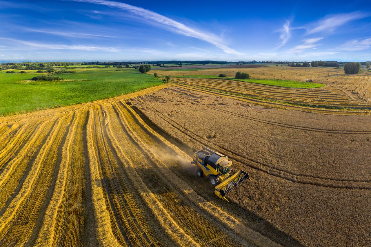 Bytów: Rolnicy z niepokojem patrzą w niebo, ale są dobrej myśli