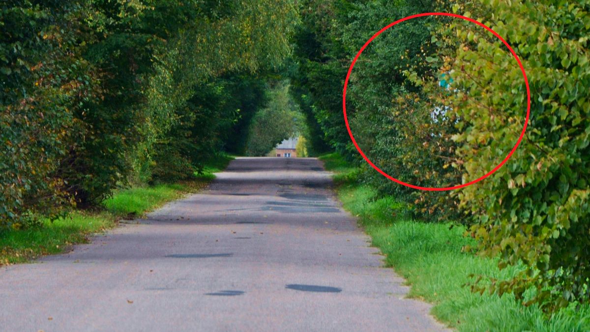 Tam jest znak, ale widać go tuż przed minięciem. Ogranicza prędkość dopuszczalną z 90 do 50 km/h