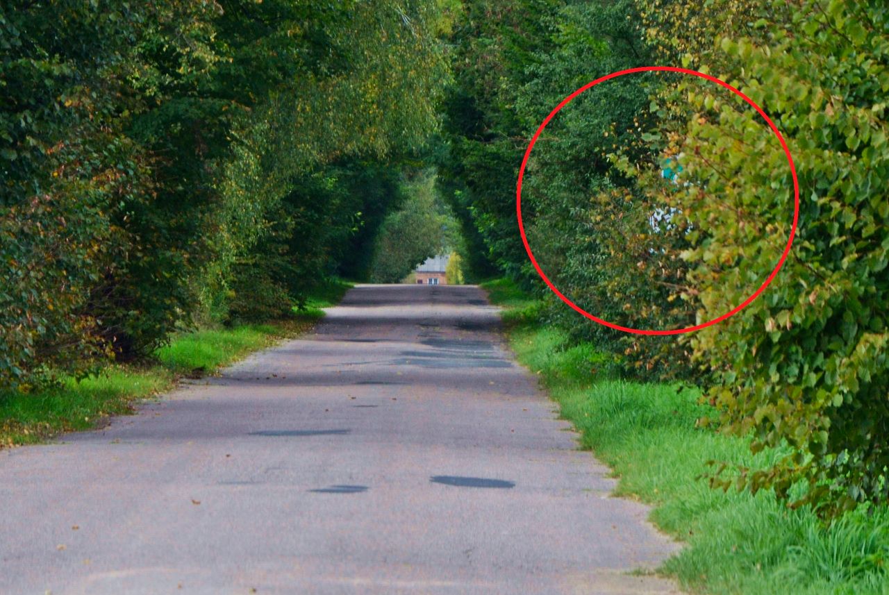 Tam jest znak, ale widać go tuż przed minięciem. Ogranicza prędkość dopuszczalną z 90 do 50 km/h