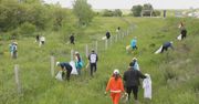 Akcja Czysty Kazachstan, czyli wszyscy mieszkańcy sprzątają swój kraj
