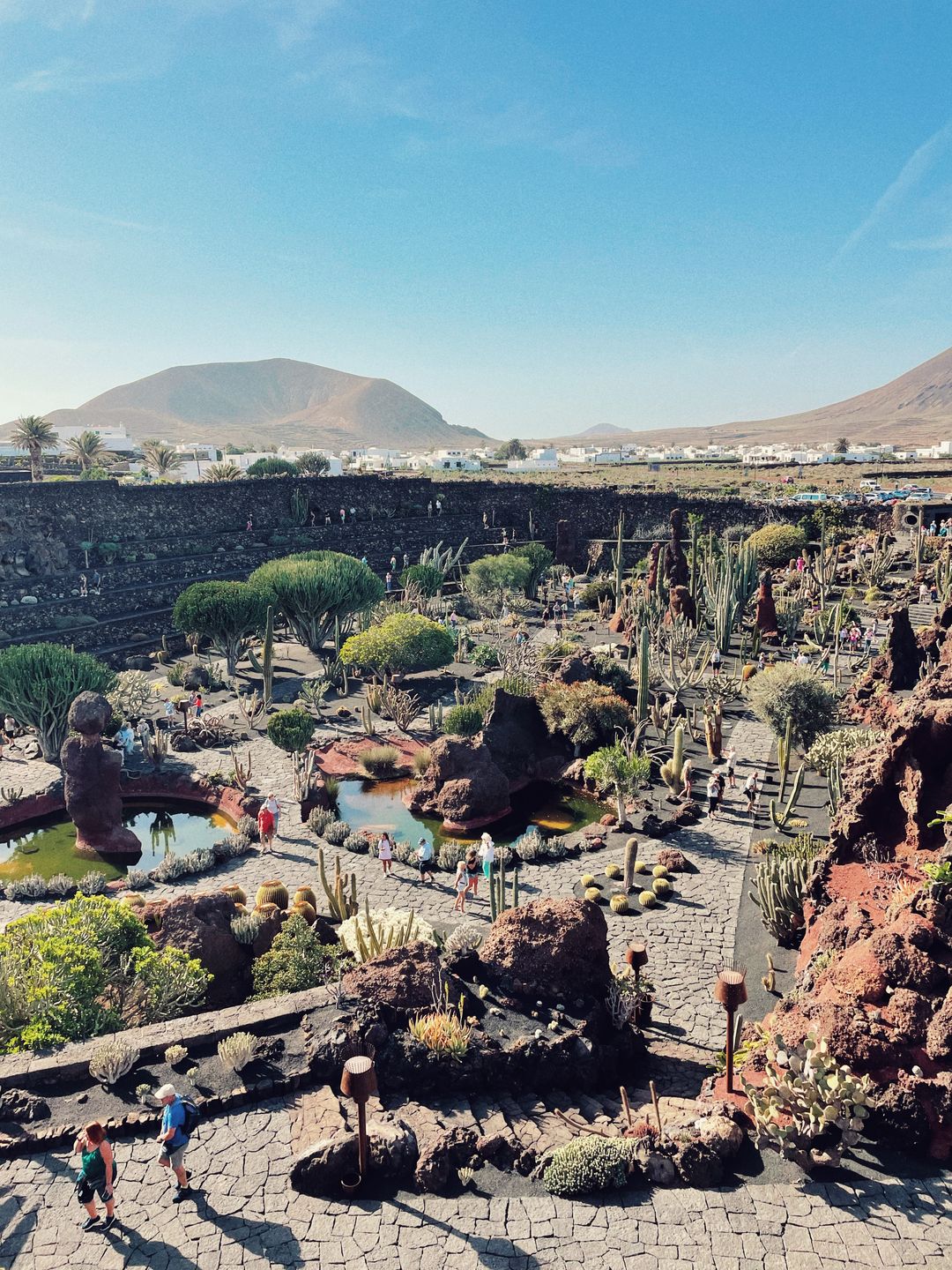 Jardin de Cactus  