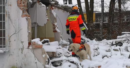 Wrocław. Trening psów ratowniczych na Biskupinie. Przeszukiwały gruzowiska