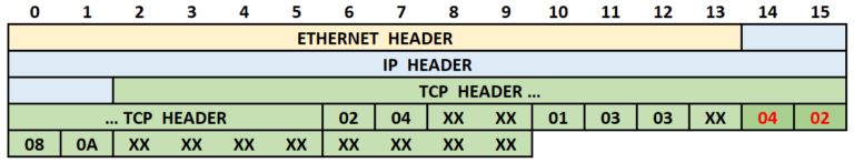 Format pakietów TCP, które są analizowane przez Nodersok, źródło: Microsoft.