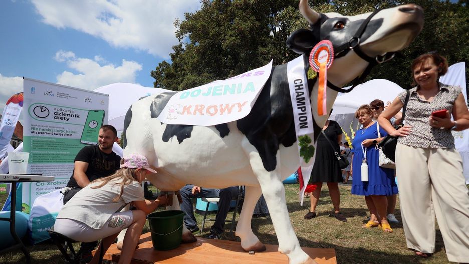 Ale Kosmos! Piknik naukowy na błoniach pod Zamkiem