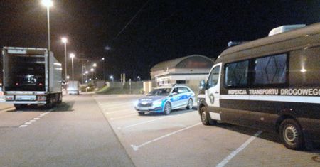 Naczepa-chłodnia skrywała tajemnicę. Inspektorzy pokazali zdjęcia z A2