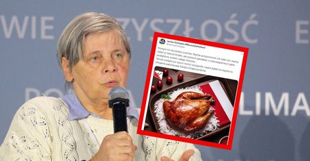 Ochojska złożyła propozycję. Ostra odpowiedź. "Żałosny upadek"