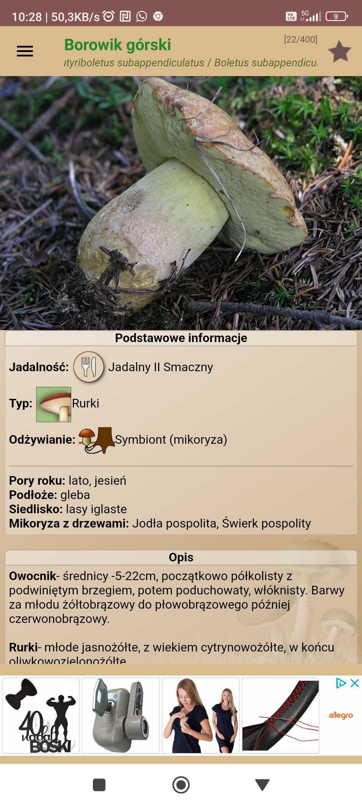 Atlas grzybów