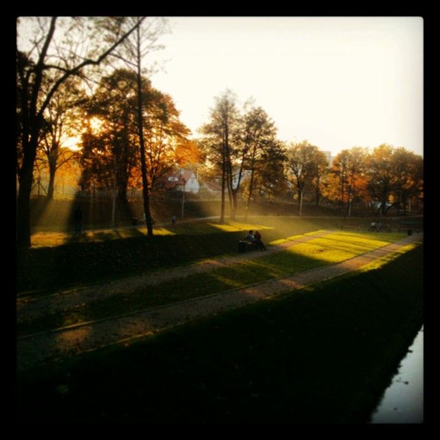 Zobaczcie jakie zdjęcia można zrobić smartfonem. Galeria nagrodzonych prac 20