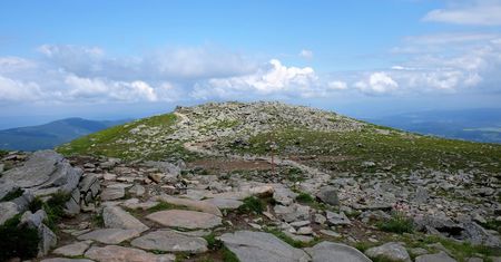 Babia Góra (Diablak) w Beskidzie Żywieckim 1725 m n. p. m.