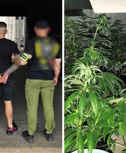 Policja przejmuje 40 kg narkotyków. Część była schowana w gitarze