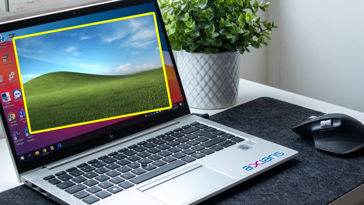 Nowa wersja łąki Microsoftu. Dostrzegasz różnice?