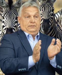 Biedny jak Orbán. W bajki opowiadane przez premiera wierzą już tylko najwierniejsi