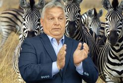 Biedny jak Orbán. W bajki opowiadane przez premiera wierzą już tylko najwierniejsi