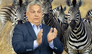 Biedny jak Orbán. W bajki opowiadane przez premiera wierzą już tylko najwierniejsi