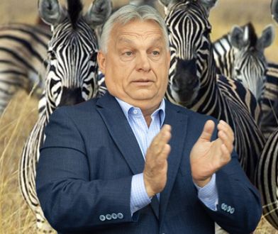 Biedny jak Orbán. W bajki opowiadane przez premiera wierzą już tylko najwierniejsi
