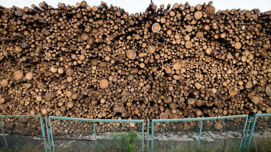 11 osób usłyszało dotąd zarzuty w śledztwie dotyczącym zorganizowanej grupy przestępczej