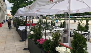 Warszawa. Der Elefant tylko dla zaszczepionych. Błyskawiczna reakcja konkurencji