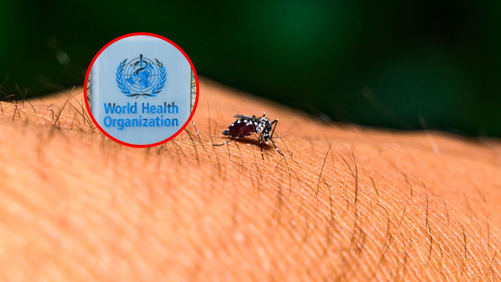 WHO ostrzega przed nową pandemią. 5,6 miliarda osób w strefie ryzyka