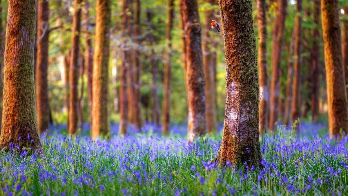 Zubożenie przyrody. Zaskakujące wyniki badań