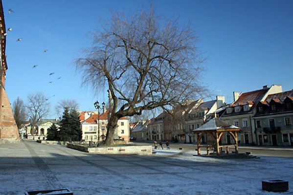Obraz