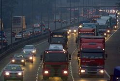 Brytyjskiej firmie poradzono... przenosiny do Polski