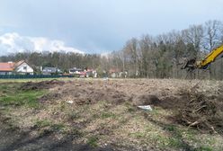 Wrocław. W Lesie Mokrzańskim powstanie osiedle. Aktywiści uważają, że to niedopuszczalne