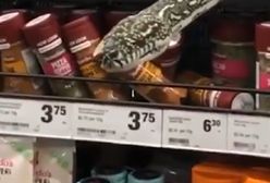 Australia. Szok w supermarkecie. Między przyprawami czekała ją niespodzianka