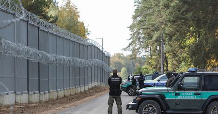 Funkcjonariusz SG skazany za przejechanie psa. "Miał możliwość wyhamowania"
