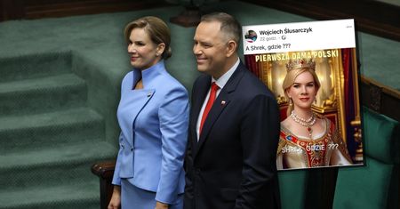 Afera o mem ze Shrekiem. Prokuratura nagle wycofała oskarżenie