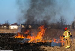 Nawet 30 tys. zł za wypalanie traw. Prezydent zdecydował