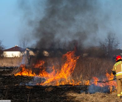 Nawet 30 tys. zł za wypalanie traw. Prezydent zdecydował