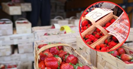 Ten sam stragan, miesiąc później. Oto co zastaliśmy. "Było niemożliwe"