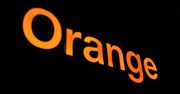 CERT Orange Polska opublikował raport. Niektóre liczby zaskakują