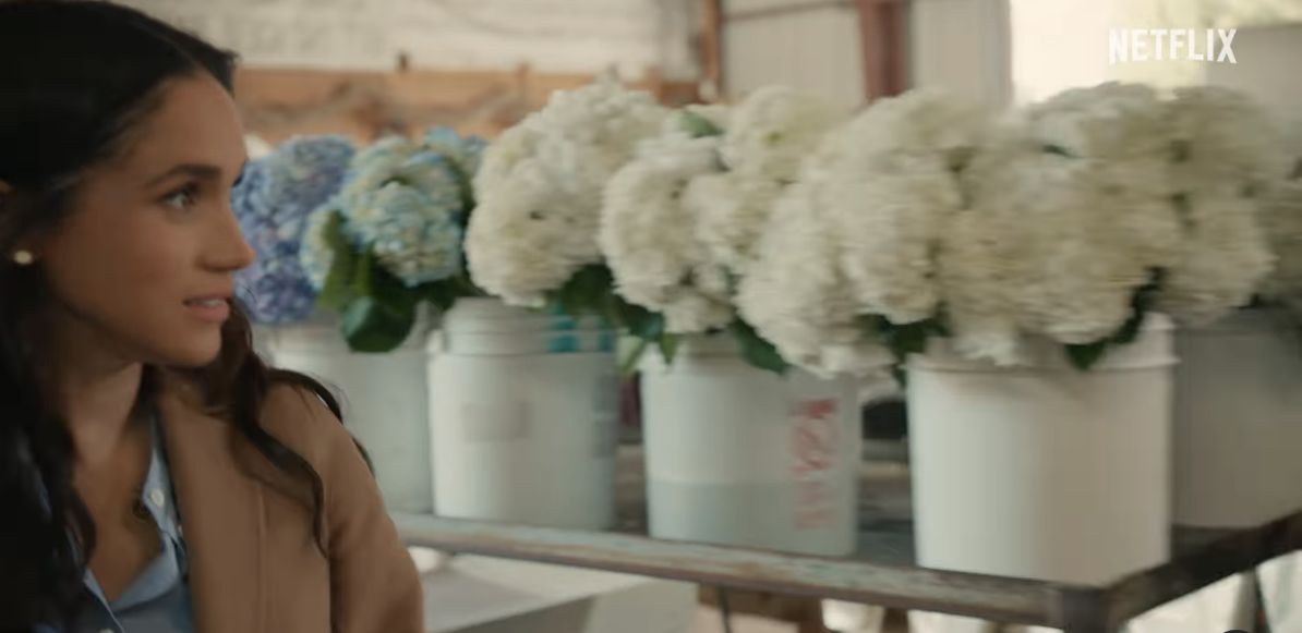 Internet users comment on the trailer for Meghan Markle's new show