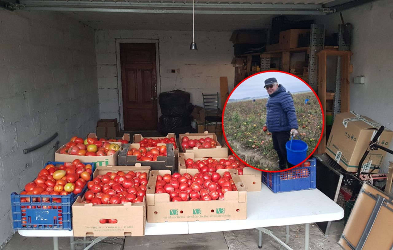 Pieniądze z samozbiorów idą na kościół. Ksiądz zabrał głos