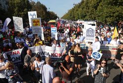 Protest medyków. Są informacje dotyczące spotkania z premierem