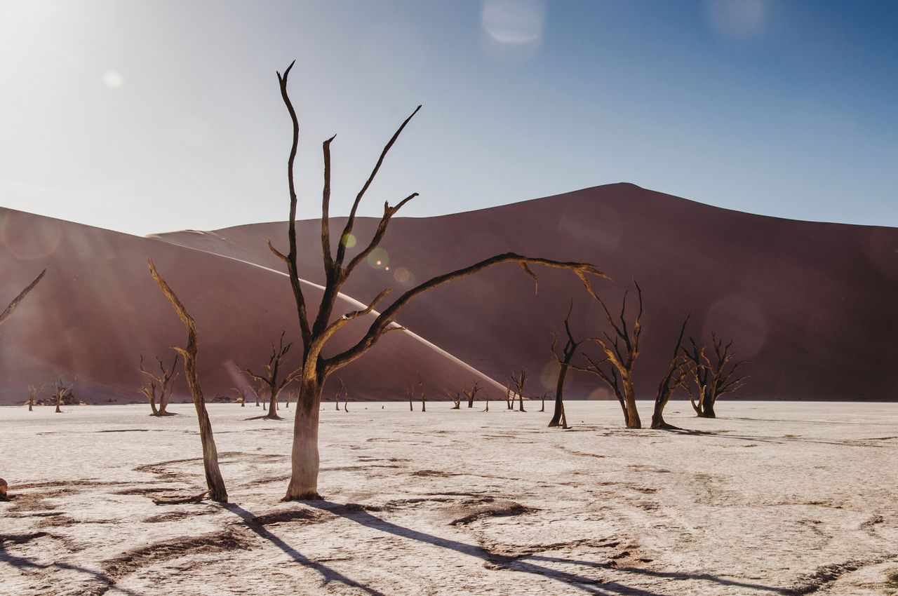 Deadvlei.