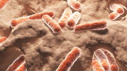 Bakterie jelitowe mogą zwiększyć skuteczność chemioterapii