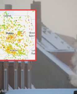 Smog 12 stycznia 2024. Jakość powietrza w Polsce. W mapach wyraźny zwrot